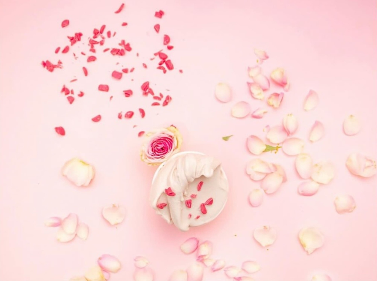 DoDo Take Over | leDehors